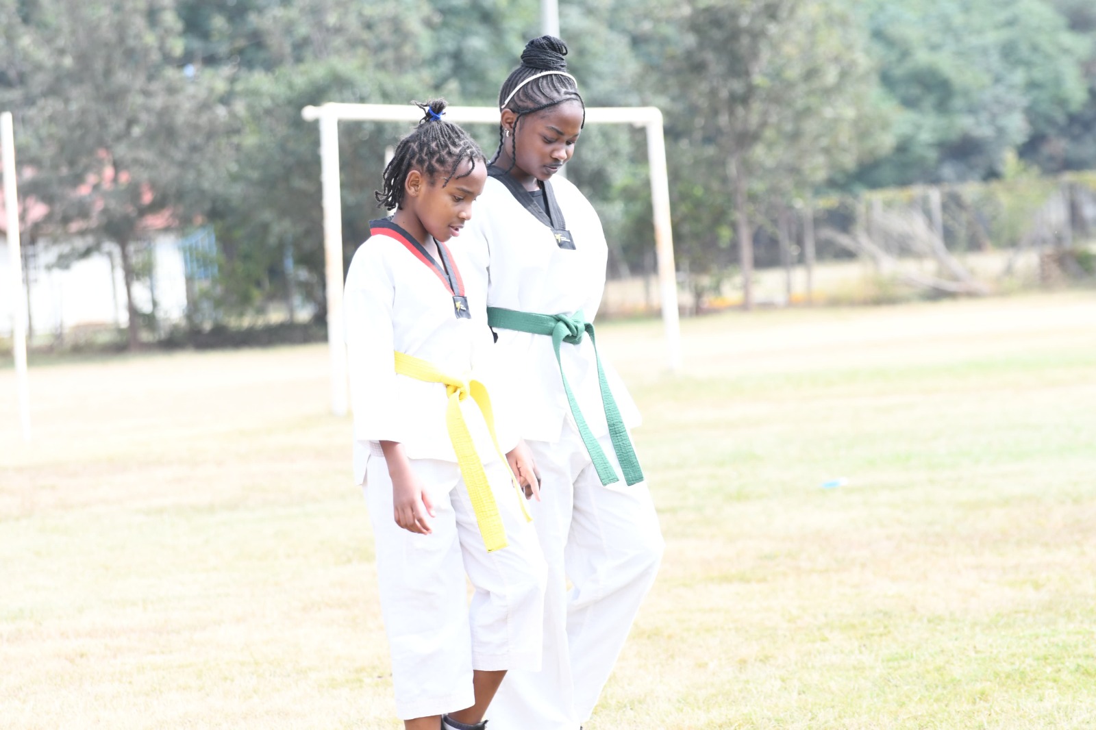 Dojang Taekwondo Training