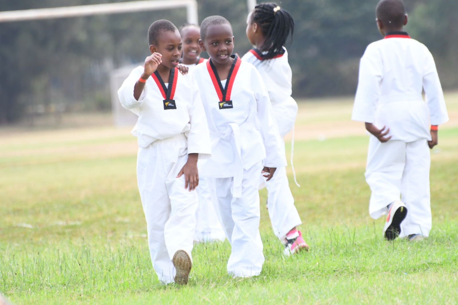 Taekwondo training