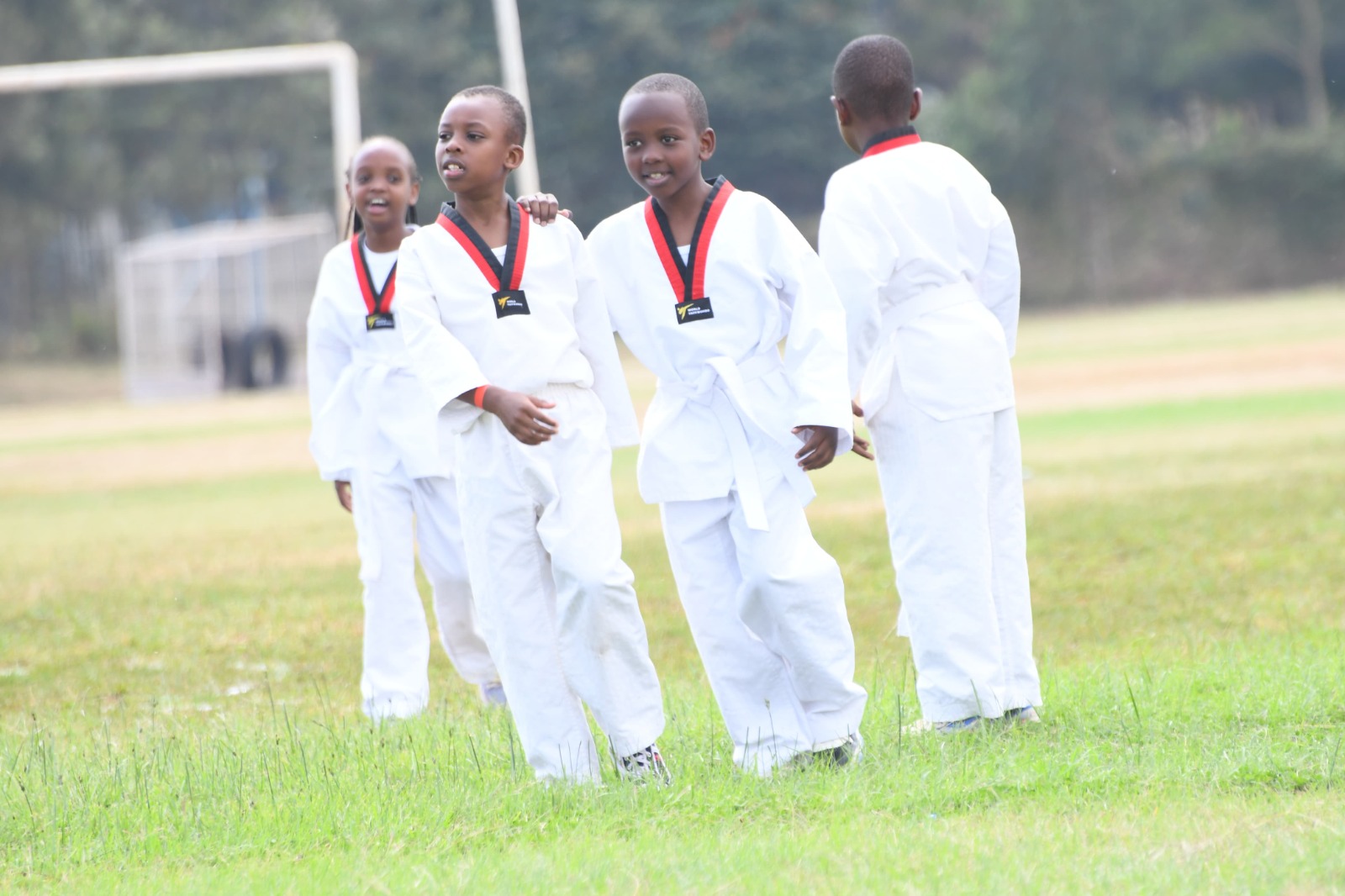 Taekwondo training